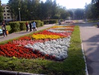 Сыктывкарская природа